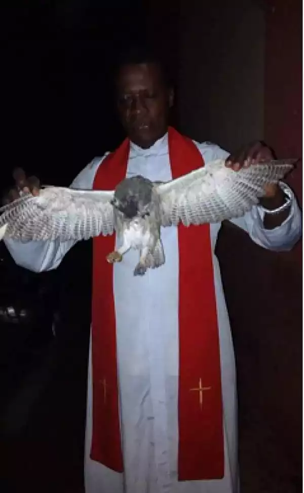 Photo: Witch Allegedly Turns To An Owl At Enugu Crusade